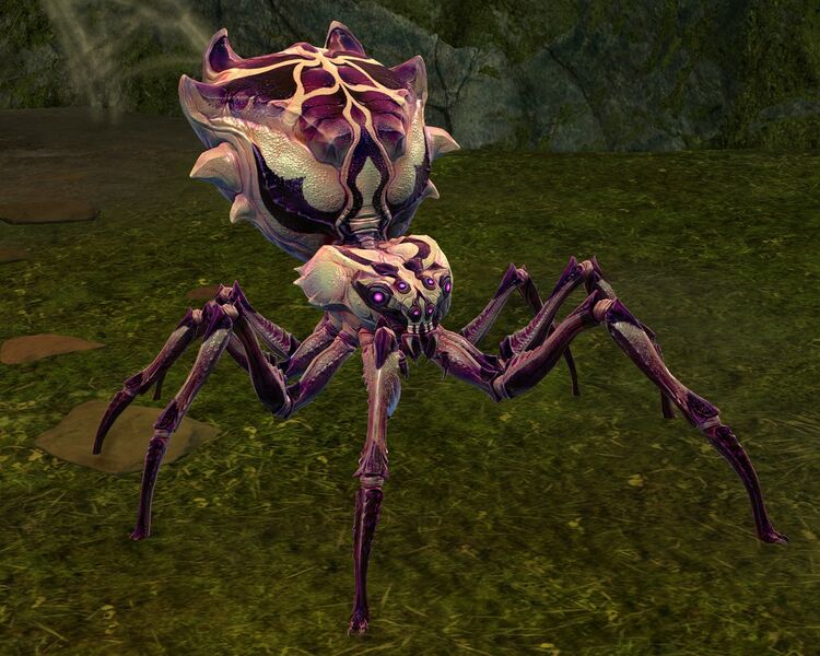 File:Cave Spider (alt2).jpg