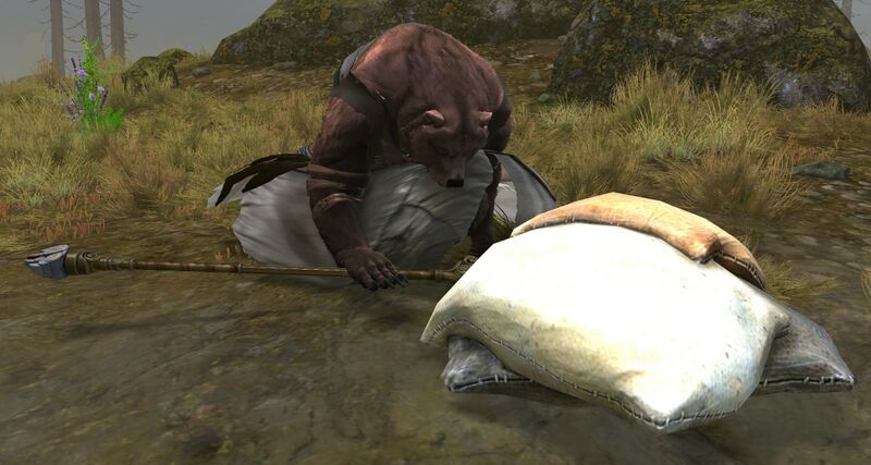File:Expedition Member.jpg