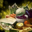 Feast veggie tier 6.png