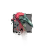 Juvenile Pink Moa.png