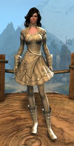 Appearance on light armor.