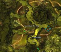 No Mask Left Behind 12 map.jpg