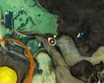 People Watching (Scanner 7 map).jpg