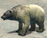 Polar Bear (alt).jpg