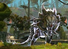 Champion Celestial Noble Star.jpg