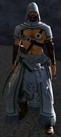 Desert Chemist 5.jpg