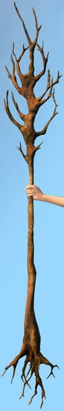 File:Druid's Staff.jpg