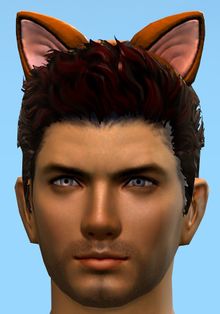 Furrocious Cat Ears.jpg