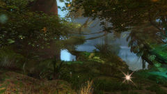 Golden Boughs.jpg