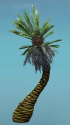 Island Tree (Short).jpg