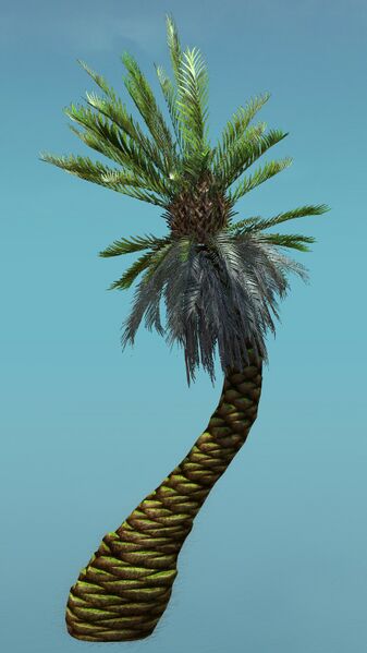 File:Island Tree (Short).jpg