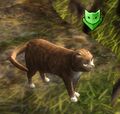 Mitzie.jpg