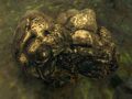 Thumbnail for version as of 03:02, 30 August 2021