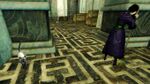 Party Animal location 03.jpg