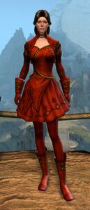 Appearance on light armor.