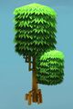 Super Beech Tree.jpg