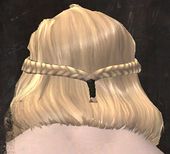 Unique norn male hair back 6.jpg