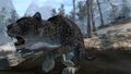 User Relyk Snow Leopard