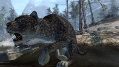 User Relyk Snow Leopard.jpg