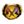 Activities.png