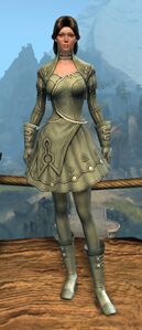 Appearance on light armor.