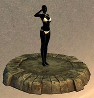 Armor Display Case—Mannequin.jpg