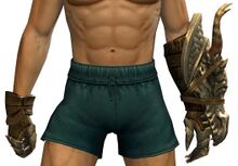 Dragonhunter's Gauntlet.jpg