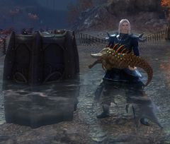 Fish Barrel.jpg