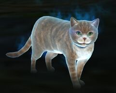 Ghostly Cat.jpg