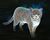 Ghostly Cat.jpg