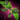 Leaf Glider.png