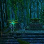 Lighting Echovald location 27.jpeg