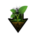 Thumbnail for version as of 16:46, 19 September 2018