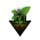 Planter Soil.png