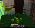 In the 2nd zone, in the Queen Bee Dog area. Gives 3 green + 2 yellow baubles.