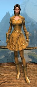 Appearance on light armor.