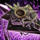 Sunspear Rod.png