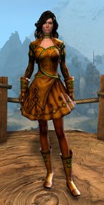 Appearance on light armor.