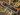 Balthazar Low Road map.jpg