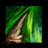 Bone Shard (skill).png