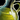 Jar of Vegetable Oil.png