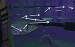 Kingdom of Fungus Hidden Room 3.jpg
