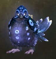 Lucent Cuckoo.jpg