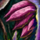 Nightmare Court Leggings.png