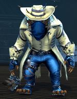 Outlaw Outfit