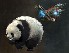Panda Roller Beetle Skin.jpg