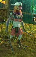 Rainbow Tengu Youngster 1.jpg