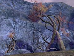 Scrabclaw's Roost.jpg