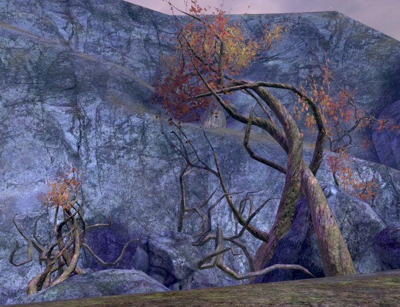File:Scrabclaw's Roost.jpg