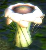 Sylvan Seedstool.jpg